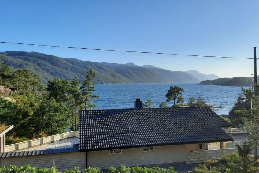 mit Blick auf das Wasser - foto 3