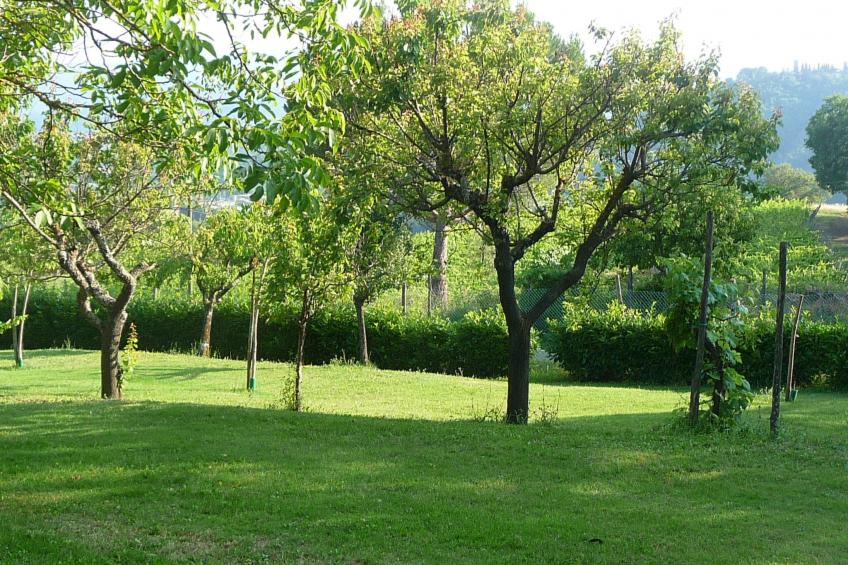 Lindenhaussiedlung mit Gemeinschaftspool - foto 32