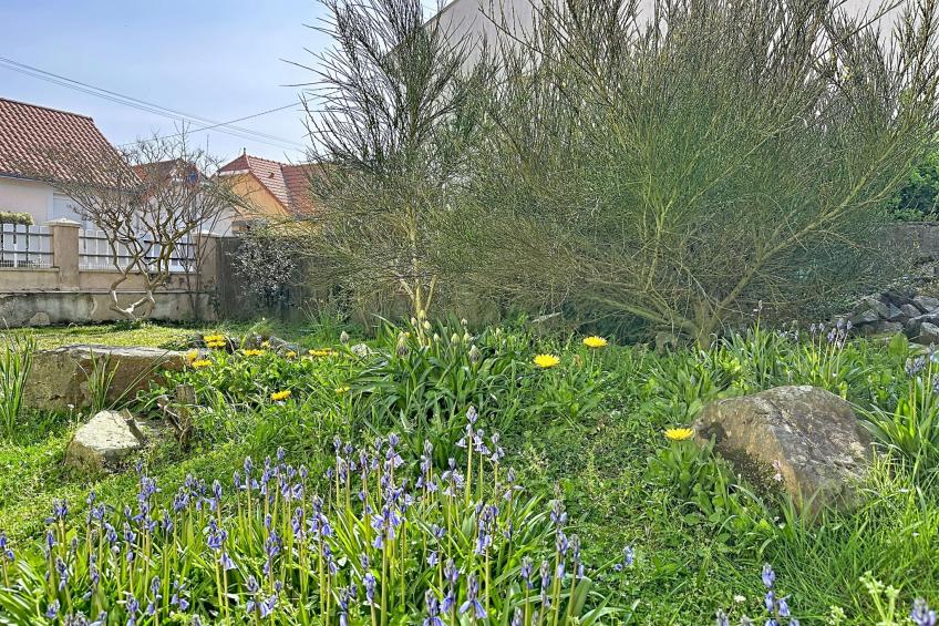 La Rose des Pins - foto 31