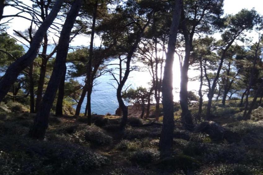 Apartment Banjole - 200 m from the Beach - foto 19