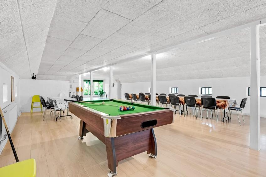 "Tatiane" - 10km from the sea in Western Jutland - foto 34