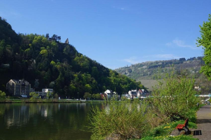 Moseljuwel-Traumferien Ferienwohnung - foto 25