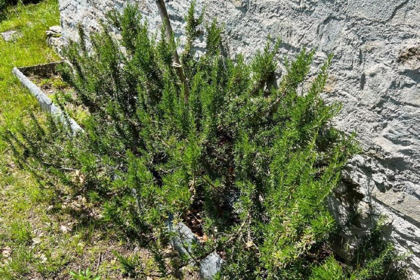 Rustico Eremo Rico - foto 14