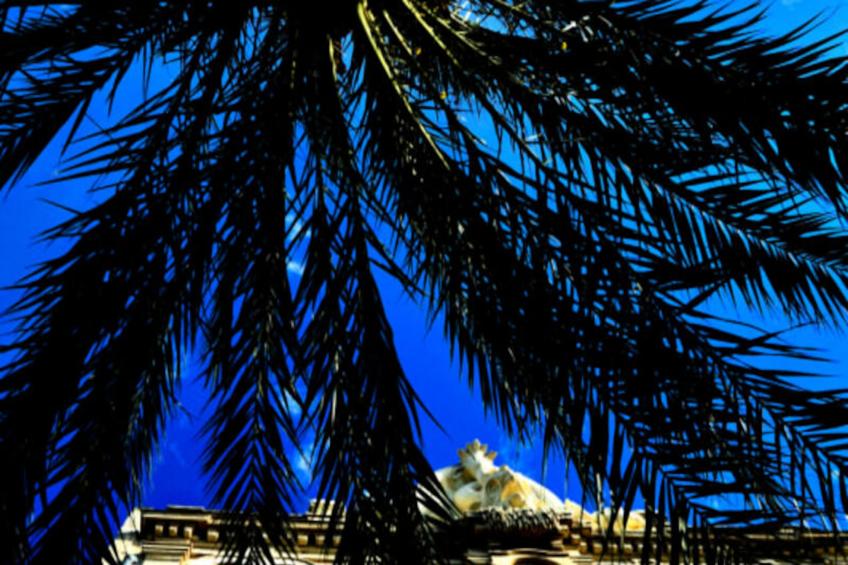 Résidence Le Studio De La Lagune: Studio Cabine Proche De La Plage - foto 18