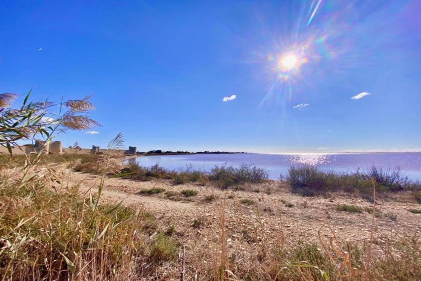 Résidence le Mas des Flamants - foto 30