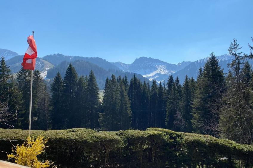 Maiensäss Romantica - foto 14