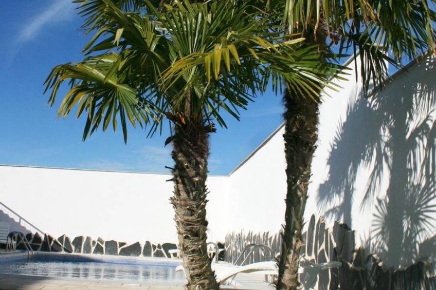 Callejón del Pozo II - foto 13