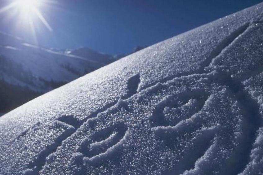 Fewo mit Blick auf die Berge - foto 16