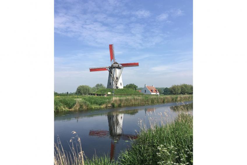 Biezenpolder - foto 25