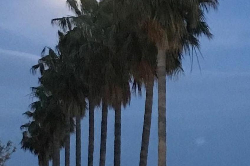 'Casa Nausica - foto 44