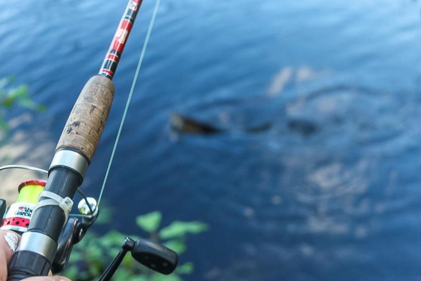 Virsuniemi - foto 10