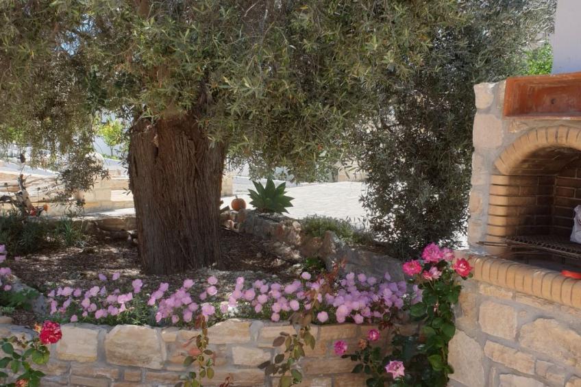 Villa Efthalia - foto 6