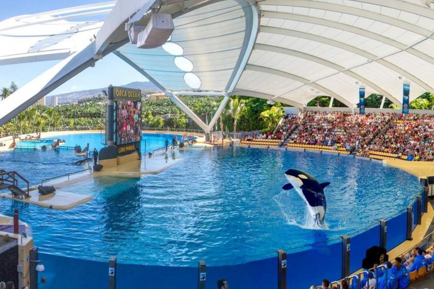 Beatifull apto Meerblick Playa Jardin wiffi - foto 34