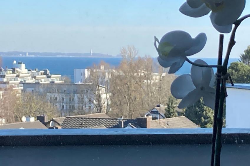 Gesamte Wohnung in Scharbeutz mit Großem Garten - foto 15