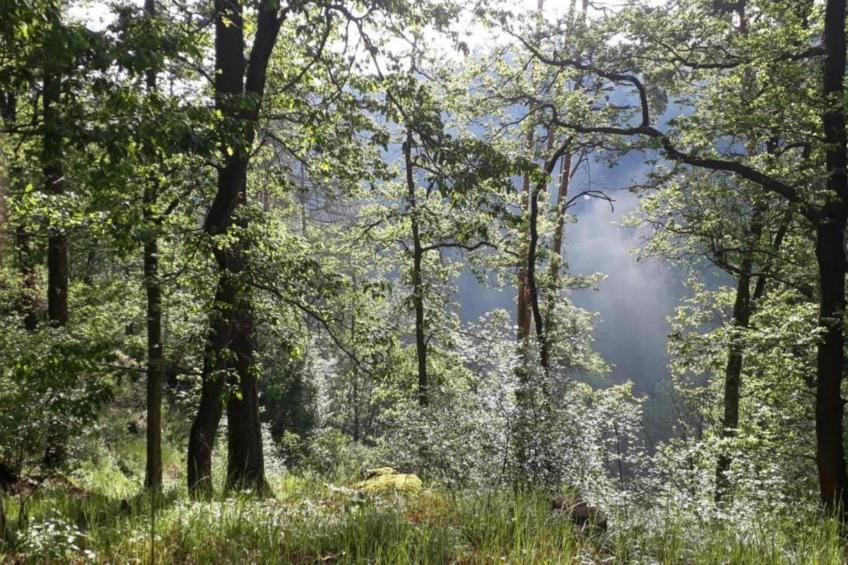 Villa Stastny - foto 28