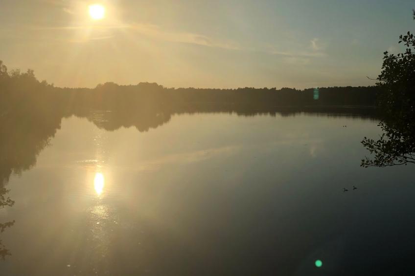 "AAL" direkt am Stausee - foto 8
