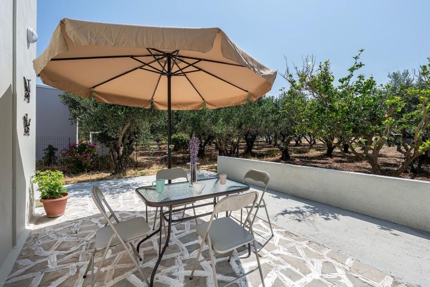 in einem Olivenhain in Strandnähe