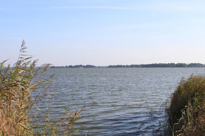 Admiral's Corner Lee - foto 35