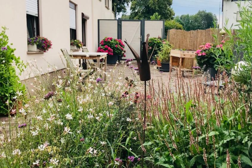 Fewo Suzanne - foto 12