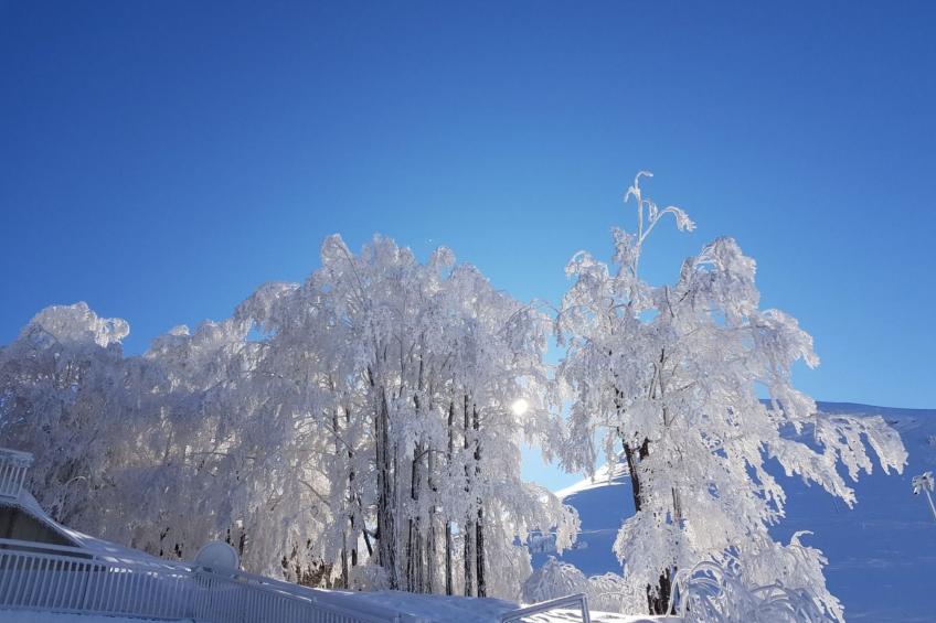 Wohnung 'Casa Nevosa' mit Balkon - foto 27