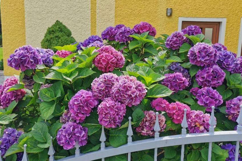 Komfortable Ferienwohnung mit Garten und Grill - foto 21