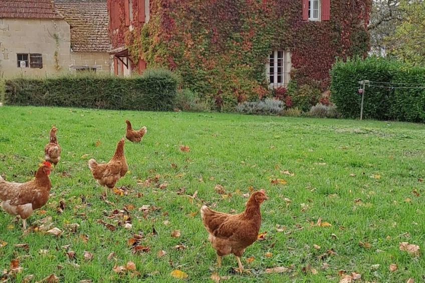Der Pavillon - im Park des Schlosses Lescaut - foto 37