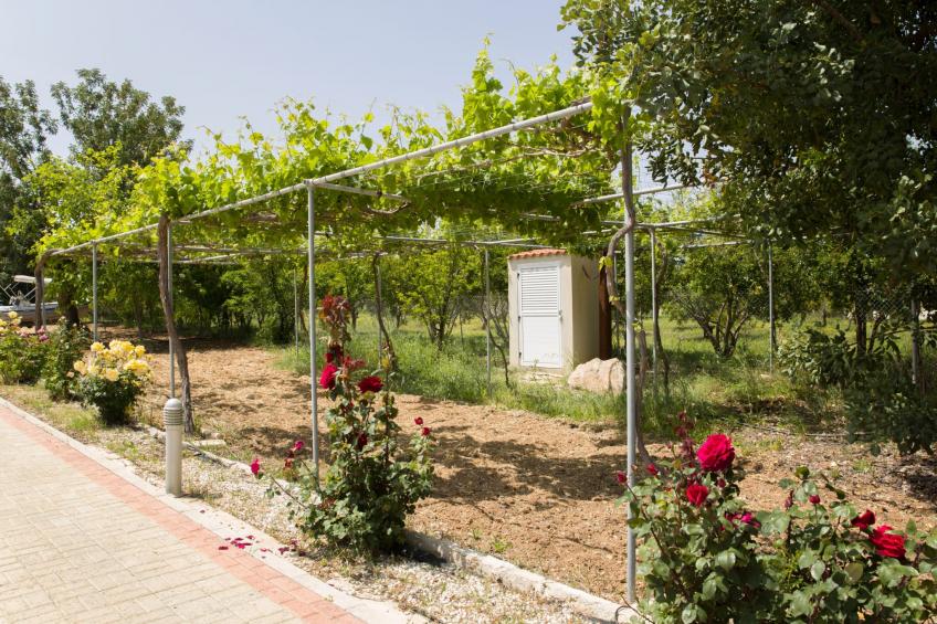 mit Privatpool für 8 Personen ca. 220 m² in Neo Chorio, Halbinsel Akamas - foto 4