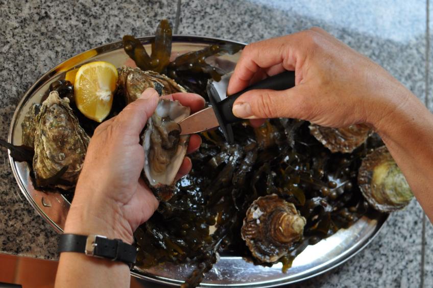 La Bergerie - foto 31