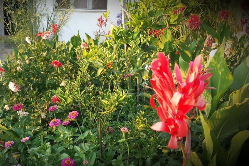 Gesamtes Ferienhaus in Sumartin mit Privatem Pool - foto 70