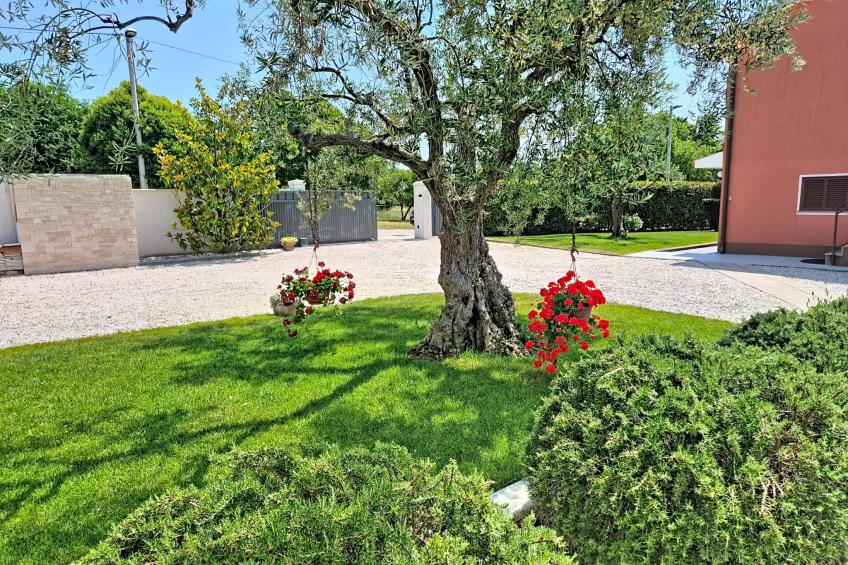 Villa Roza - foto 36
