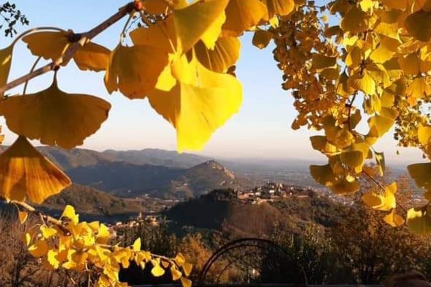 mit Privatparkplatz - foto 30