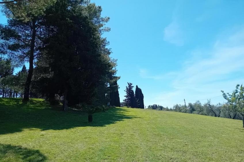 Villa Celli - foto 33