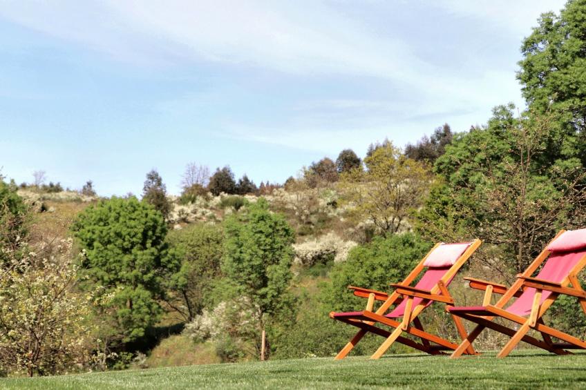 Wicket Haus - foto 2