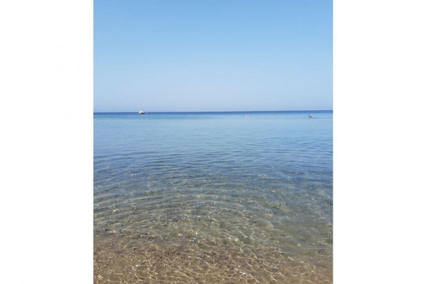 369436 - foto 40