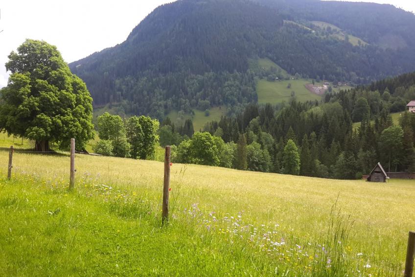 Lahnberg - foto 14