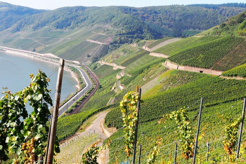 mit Parkplatz und Terrasse - foto 23