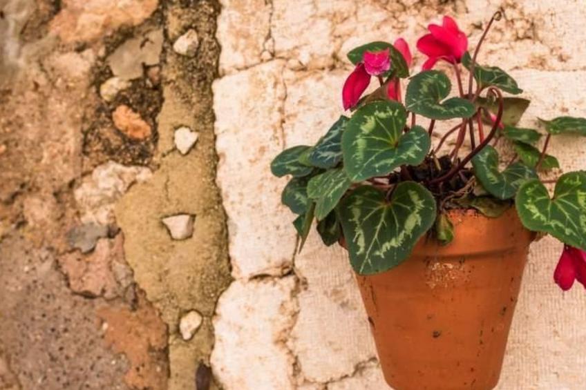 Das Haus von Macarena - foto 28