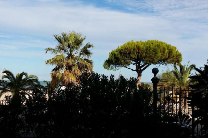 Wohnung in Tortoreto Lido mit Privater Terrasse - foto 17
