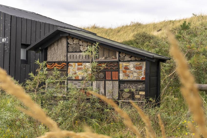 Sea Lodges Zandvoort - Kennemer Cottage 4 SP - one dog allowed - foto 32