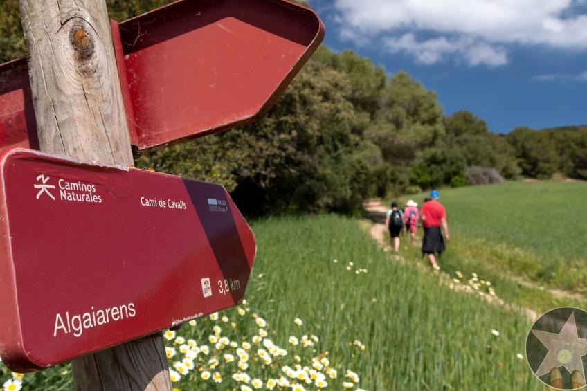 Villa Margarita in Son Bou mit Pool und Meerblick - foto 48