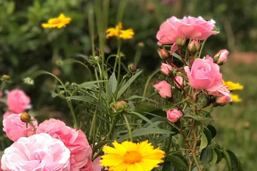 ApartmentmitAusblick - foto 24