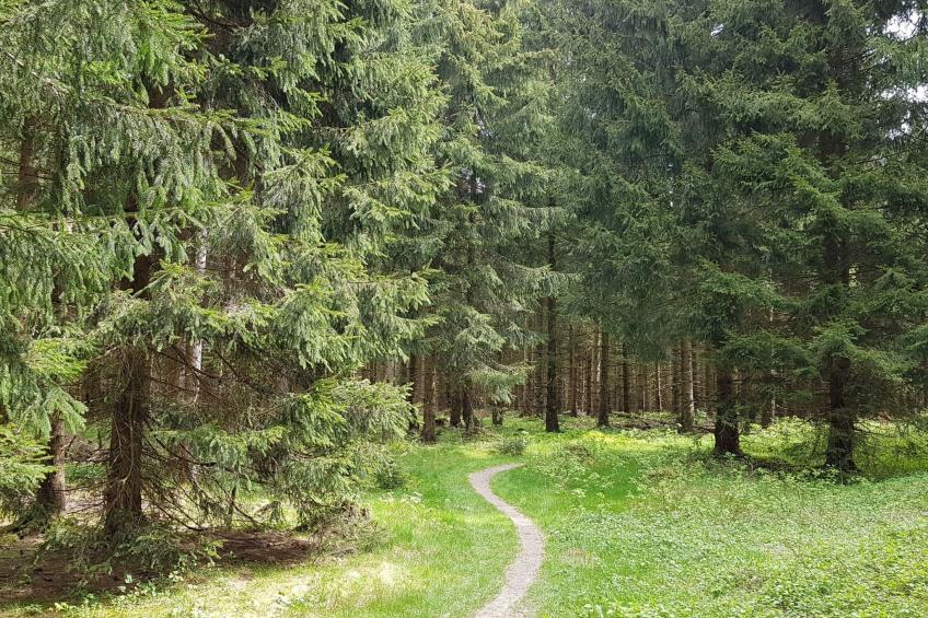 Wunderschönes Ferienhaus in Frauenwald mit Garten, Terrasse und Grill - foto 42