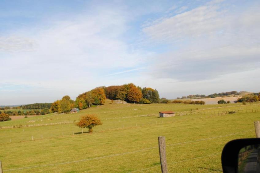 Peter Rijnaard - foto 30