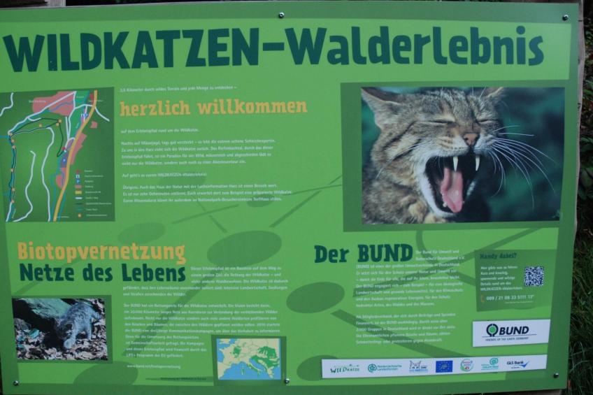 Wohnung in Bad Harzburg mit Garten - foto 21