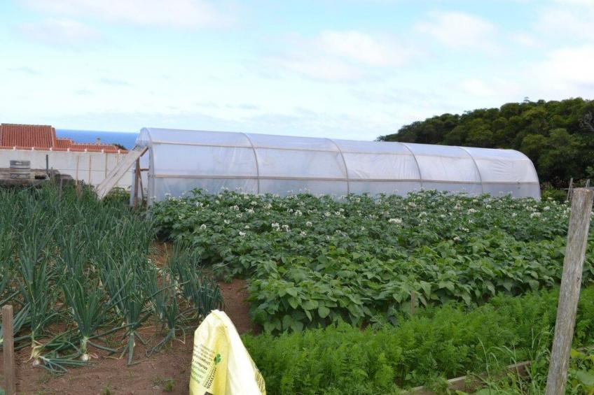 Das Haus der Weinkellerei - foto 19