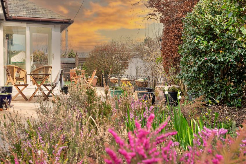 The Duck House - foto 13