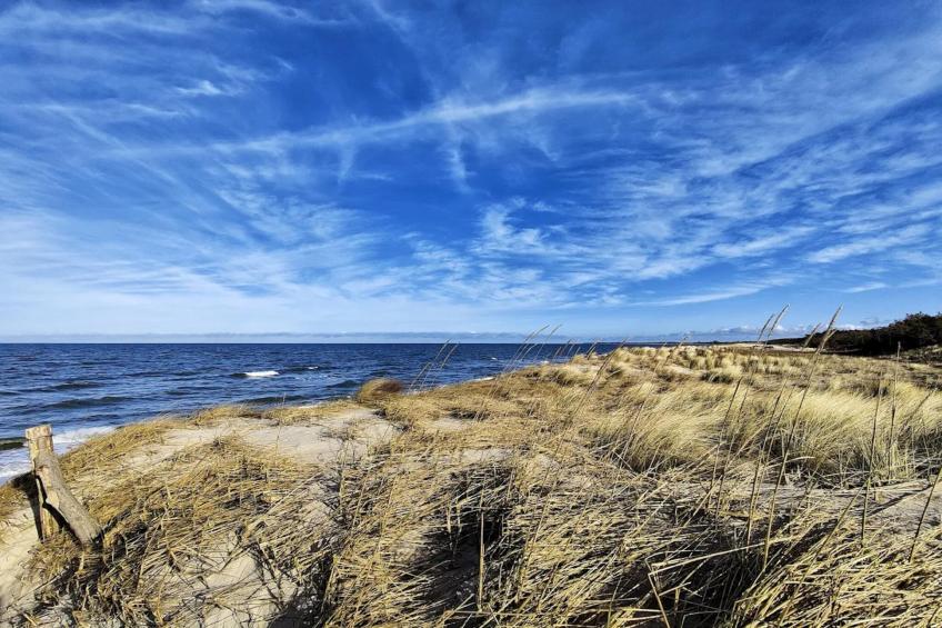 Ferienhaus Küstenwald klein - Strandhotel Fischland - foto 40
