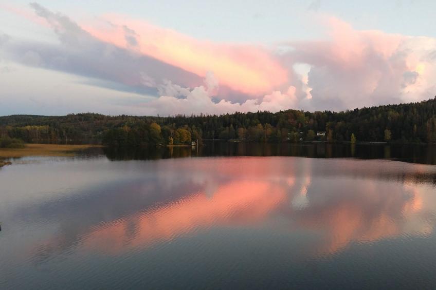 Schwedisches Glück, zwischen Wäldern und einem See - foto 26