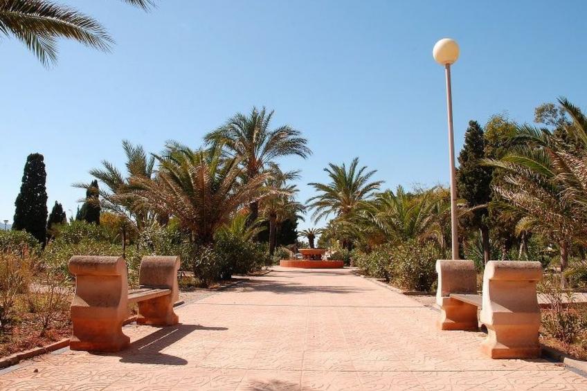 Violeta 17 - foto 139