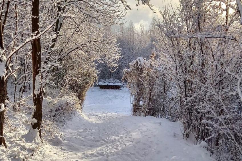 Rustico Raslina - foto 35